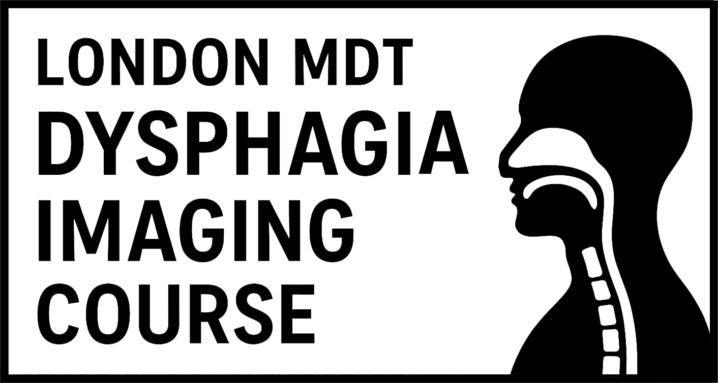 H&N Imaging Course Logo